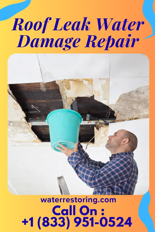 Roof Leak Water Damage Repair in Canyon Creek, TX
